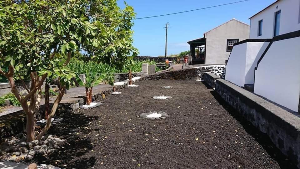 Azores Black Mountain House, Estudio E T2 Ilha Do Pico São Roque do Pico Екстериор снимка